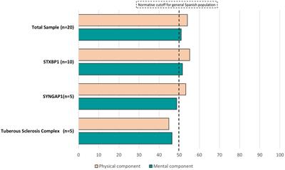 Quality of life, socioeconomic and psychological concerns in parents of children with tuberous sclerosis complex, STXBP1 and SYNGAP1 encephalopathies: a mixed method study